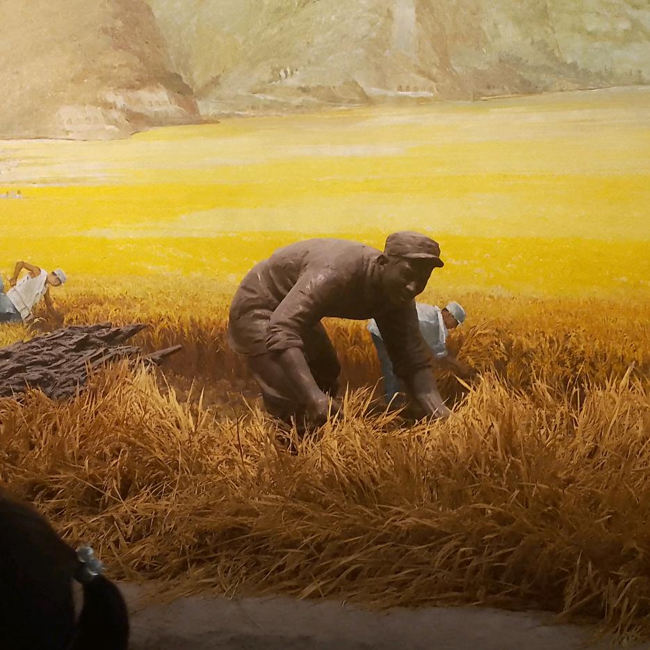 老孙农村自建房施工