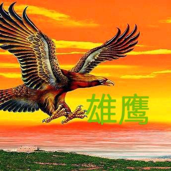 雄💯鹰🇨🇳