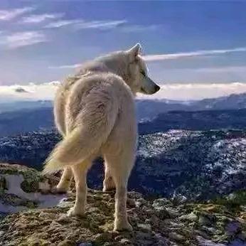 ಇ᭄叫兽ওᤢ大叔꧉ꦿꦶ༂