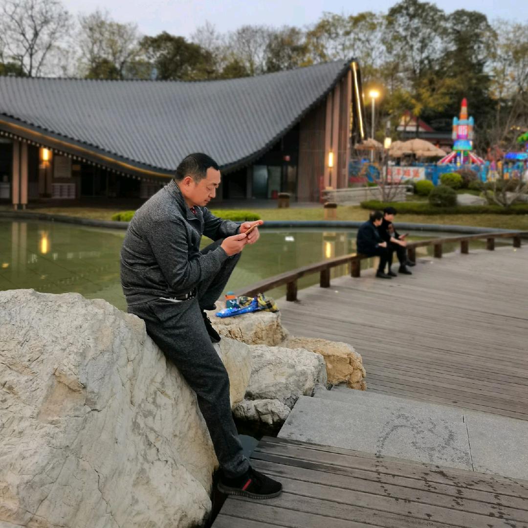 羊羊