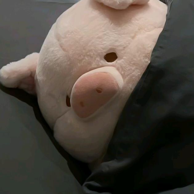 照眼