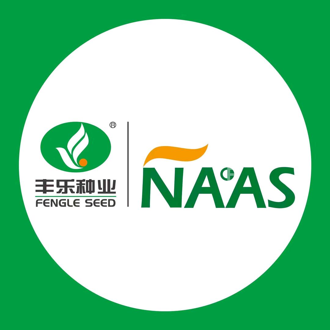 合肥丰乐新三农