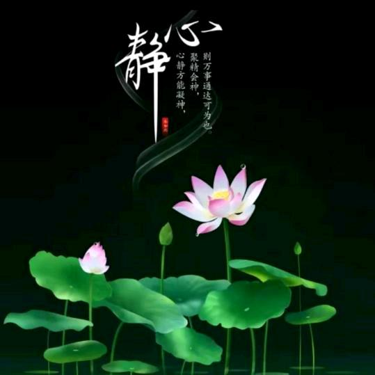 各自安好