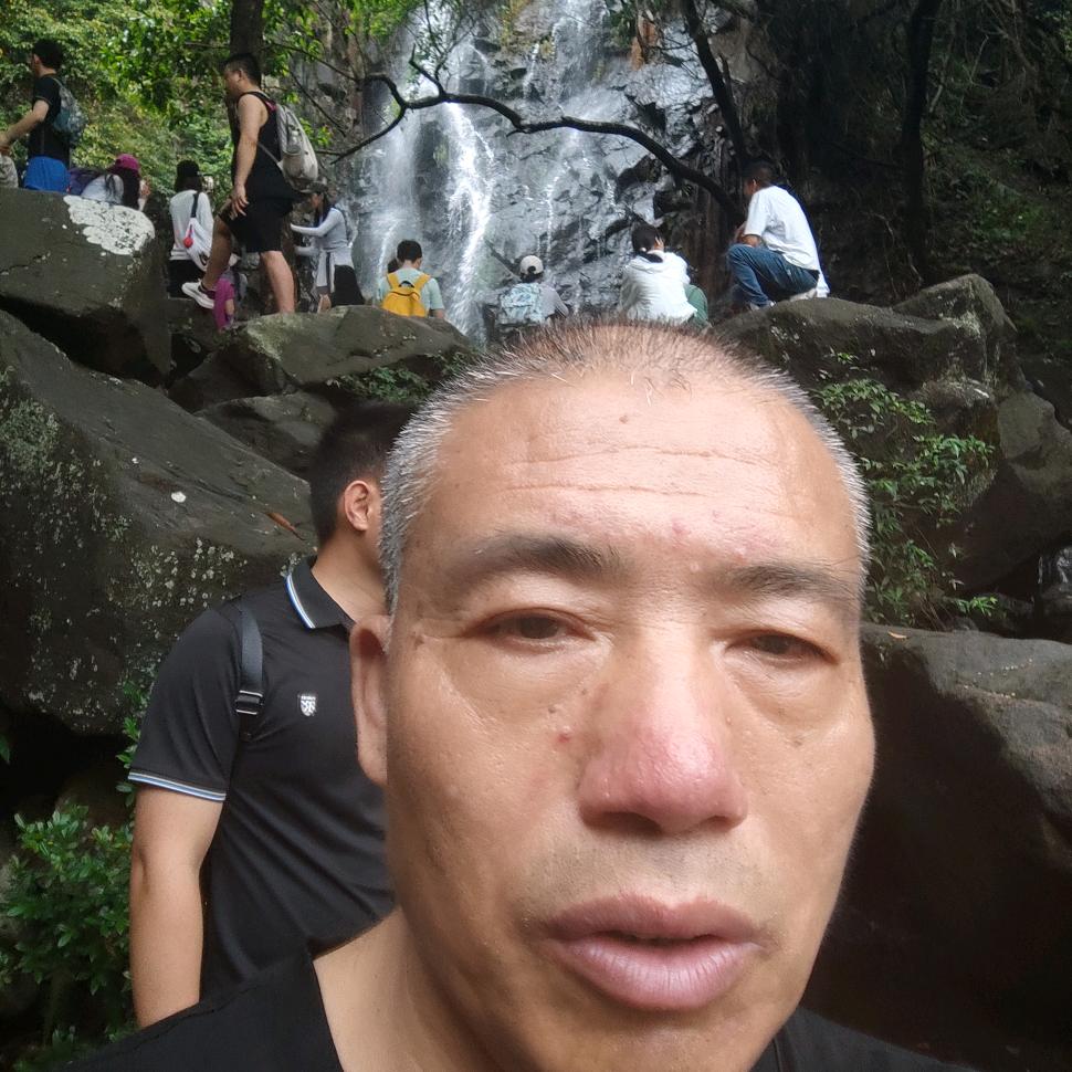 泉发木业