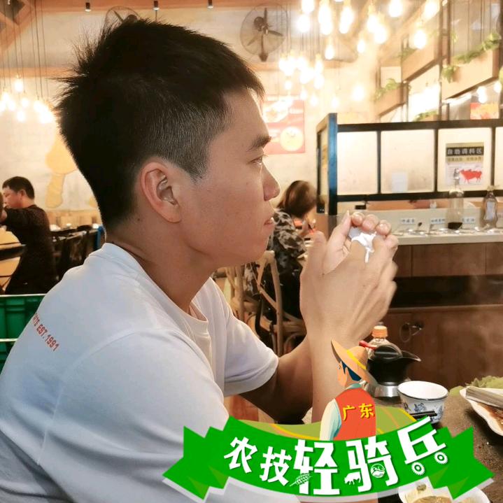 湛江红薯亚平