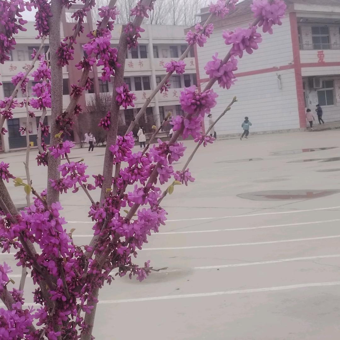 向阳而生，静待花开