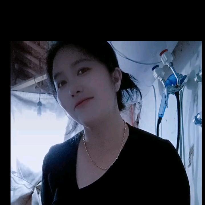 李凤