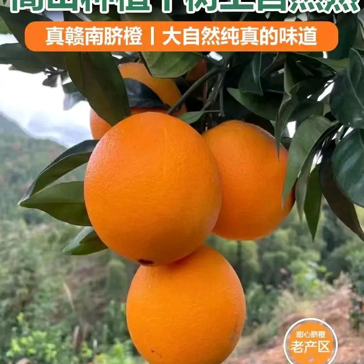 幸福快乐