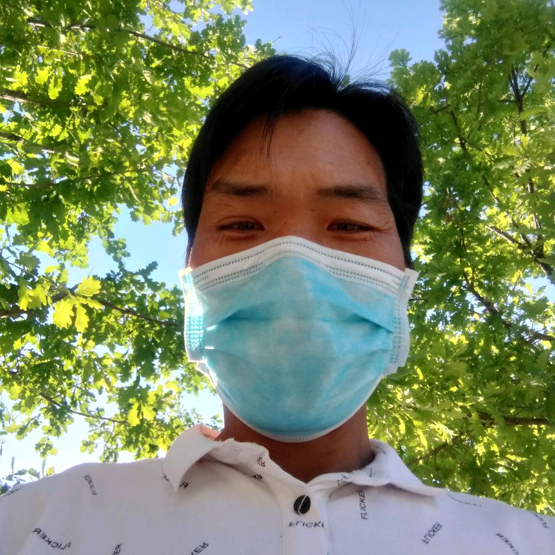 猛龙过江