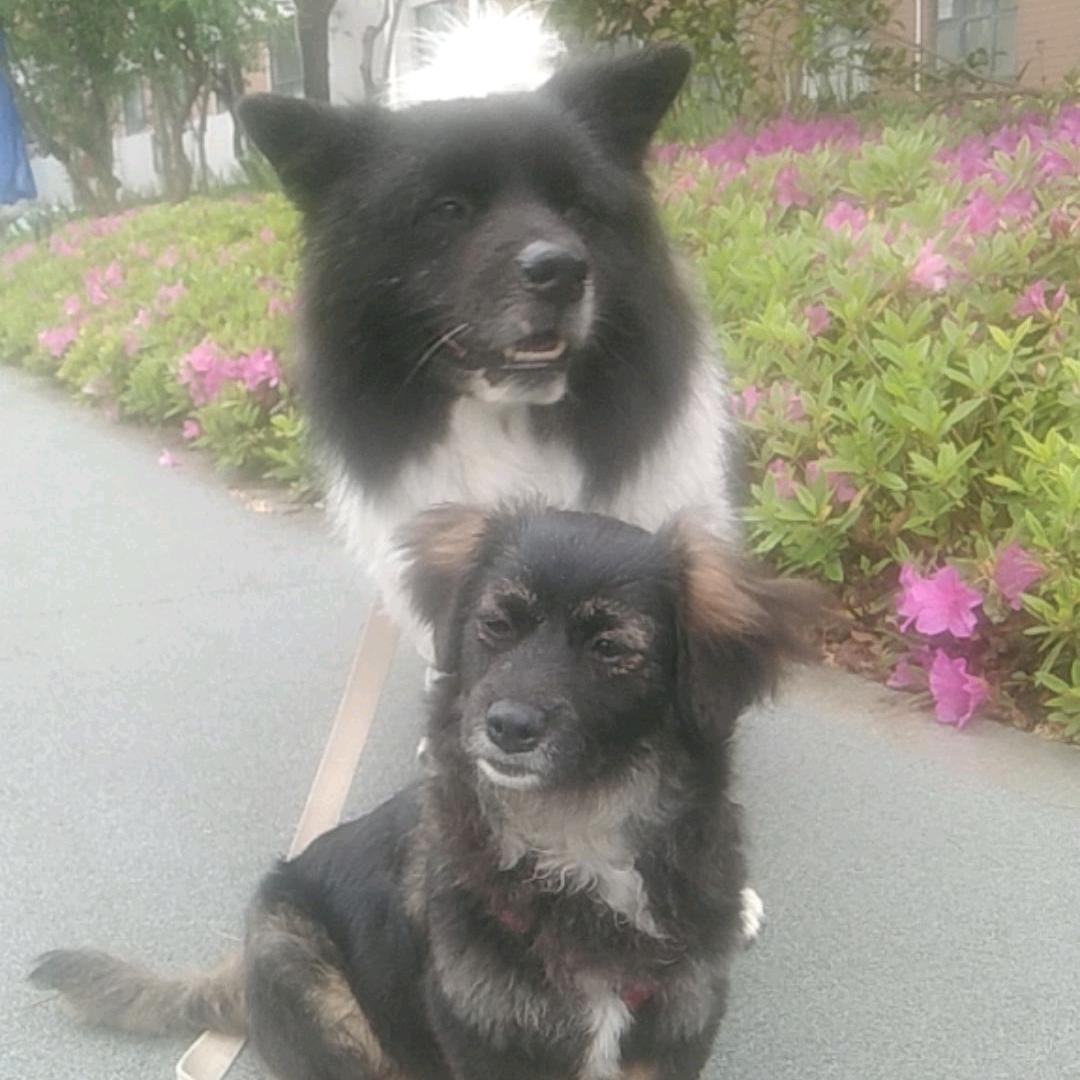 送欢乐