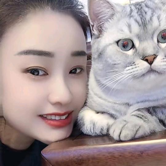 风雨中的承诺