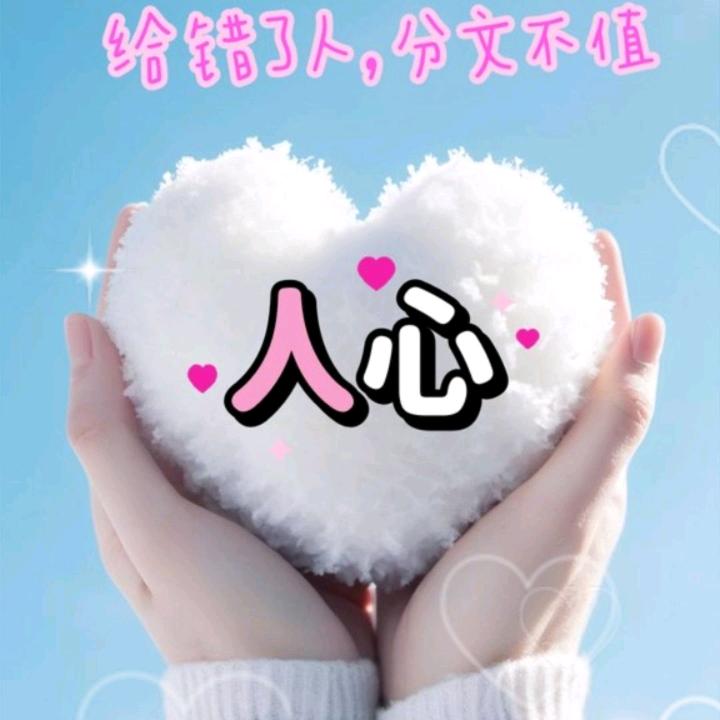 新城杨哥