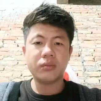 十一