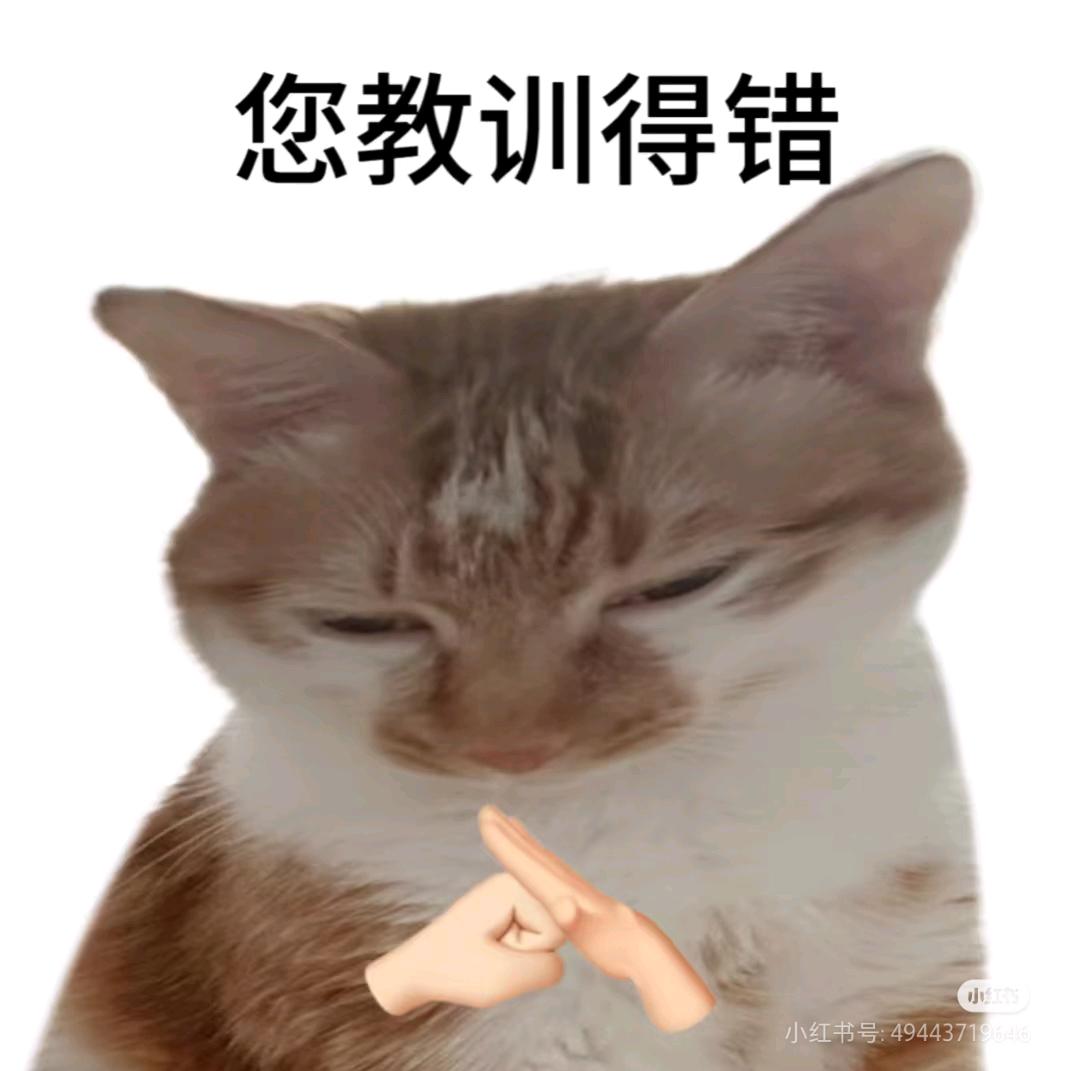 柏逸Aoi