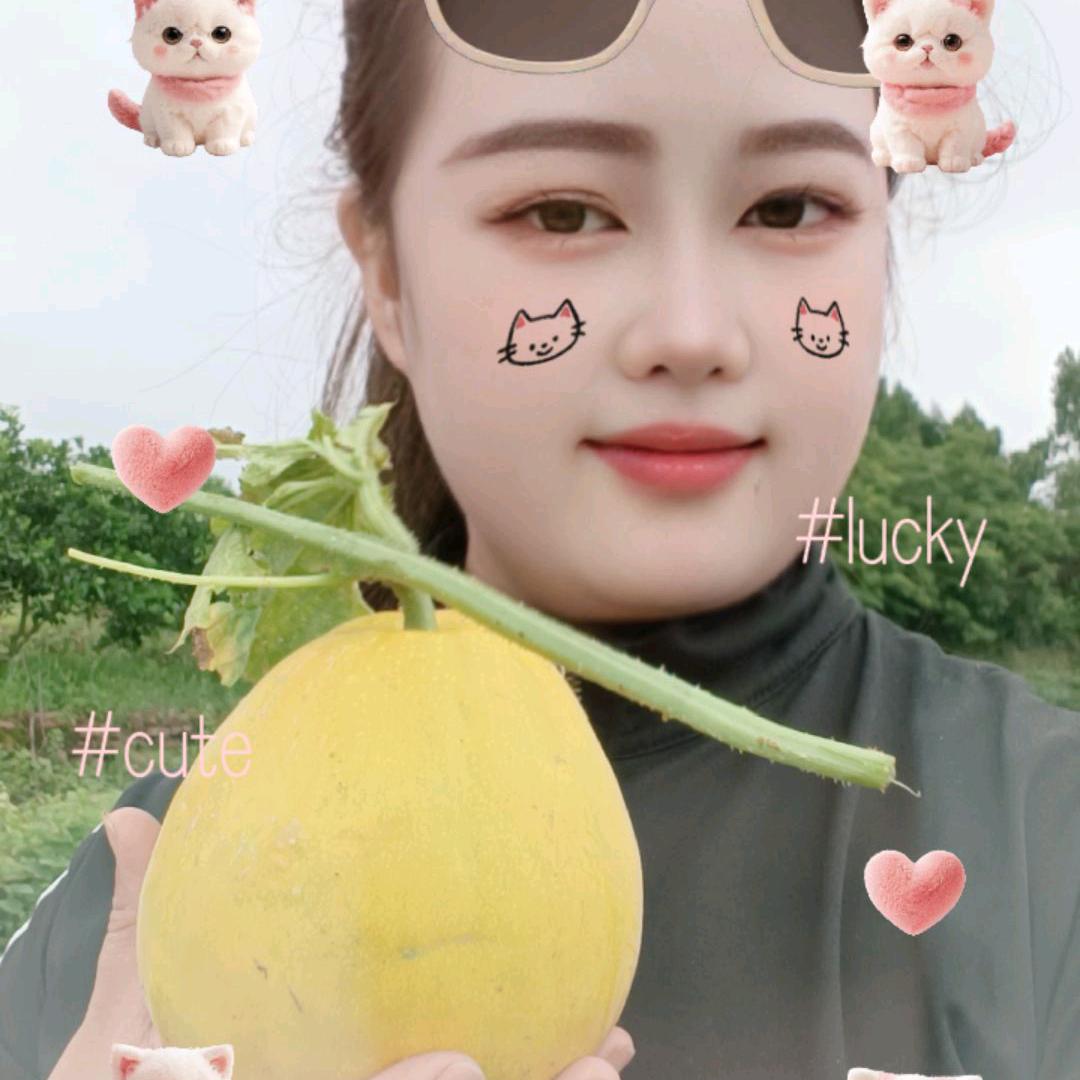 山丹丹
