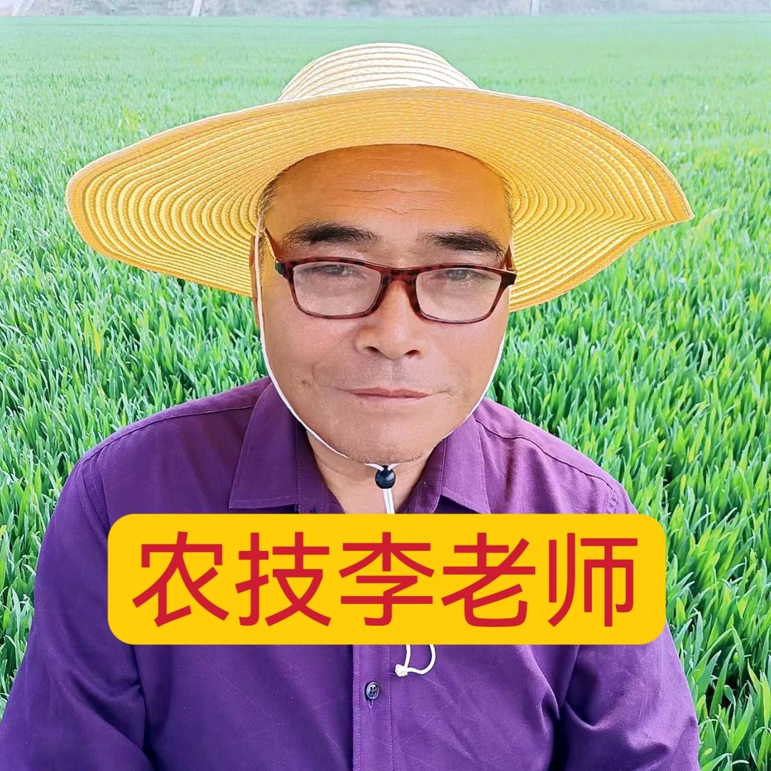 河南民心种业