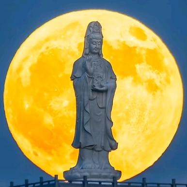 鸭头