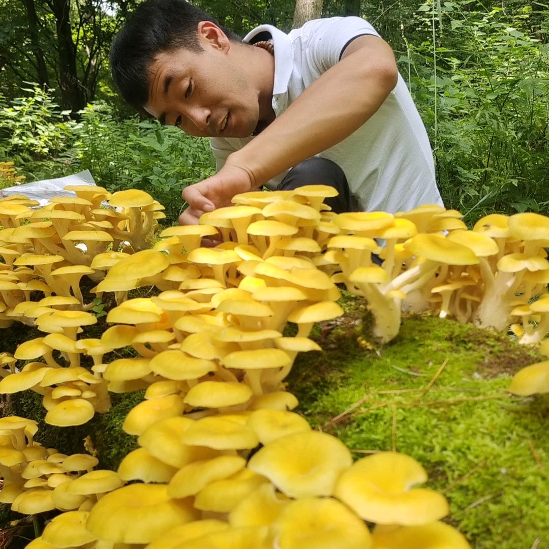 半啦山里人