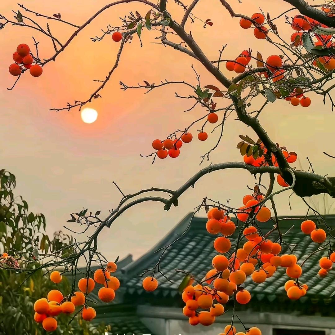 邹邹纪实🍀📷