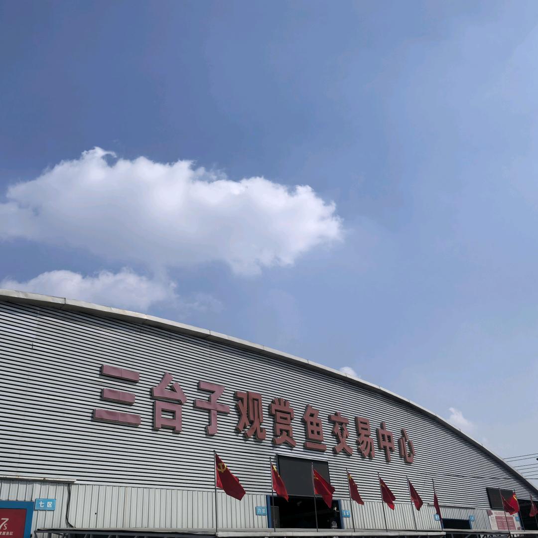 鞍山三台子观赏鱼交易中心