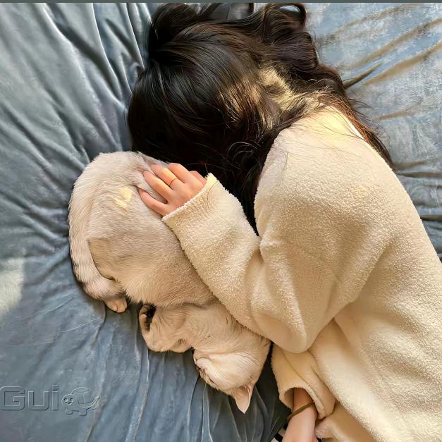 糖小姐