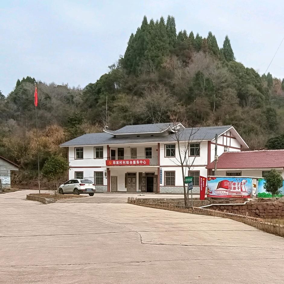郑家村村张书记