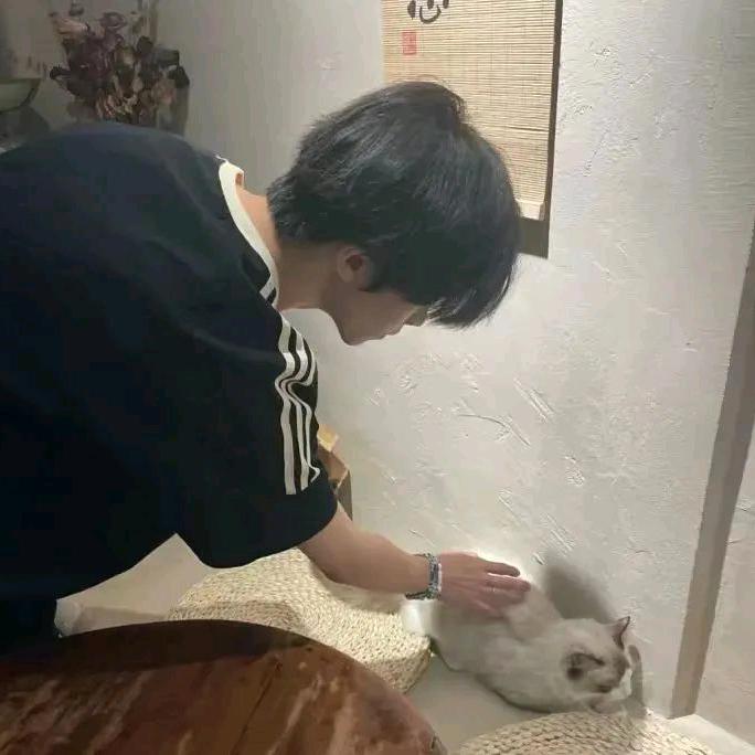 王者荣耀浅忆