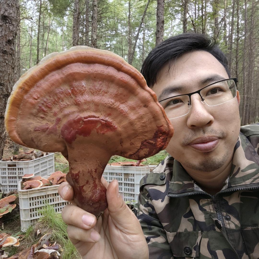 龚哥友品坊【长白山老龚哥】