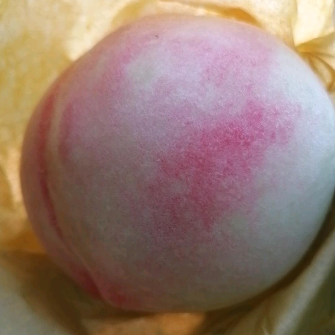 用户桃源