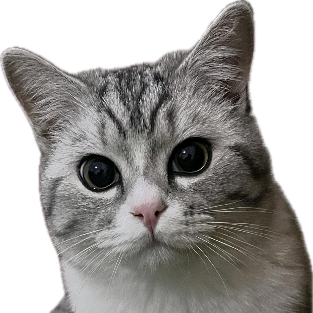 黎炙