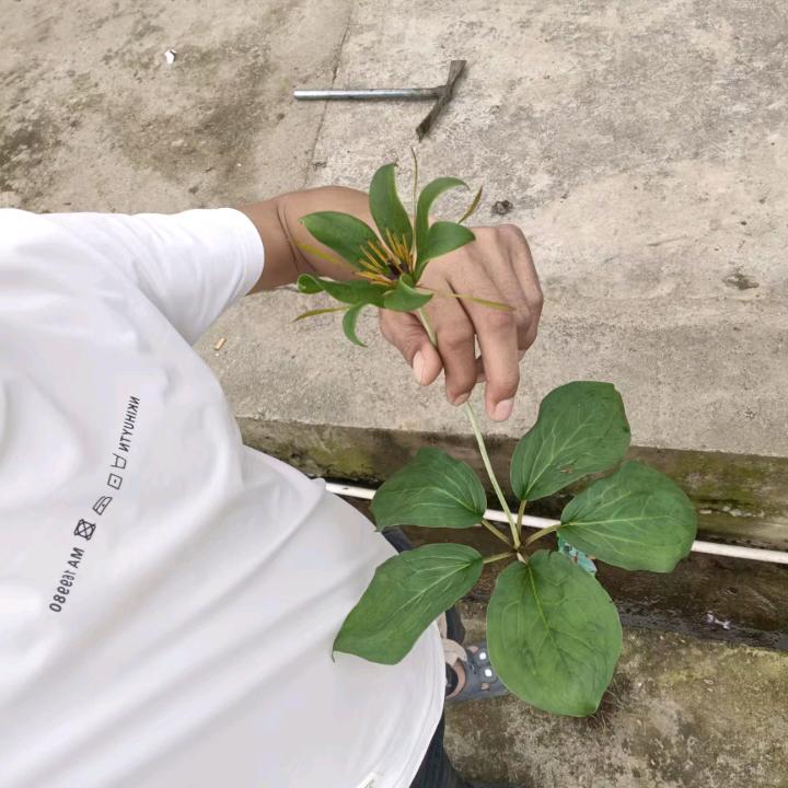 你好～