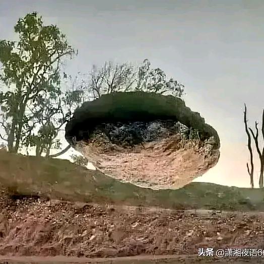 “医”路有你
