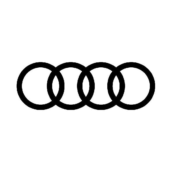 一汽奥迪新能源山东鑫龙奥