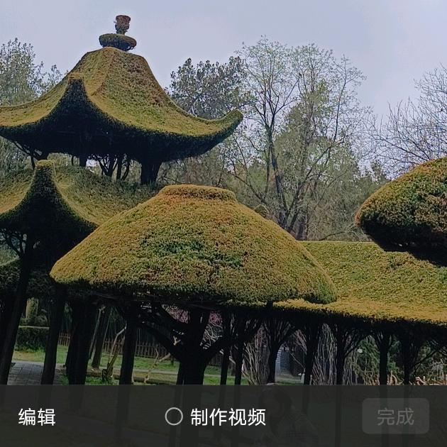 80后，不要采礼可远嫁