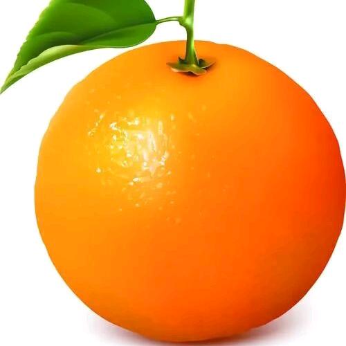 🌅澄子姥姥带娃🍊🍎