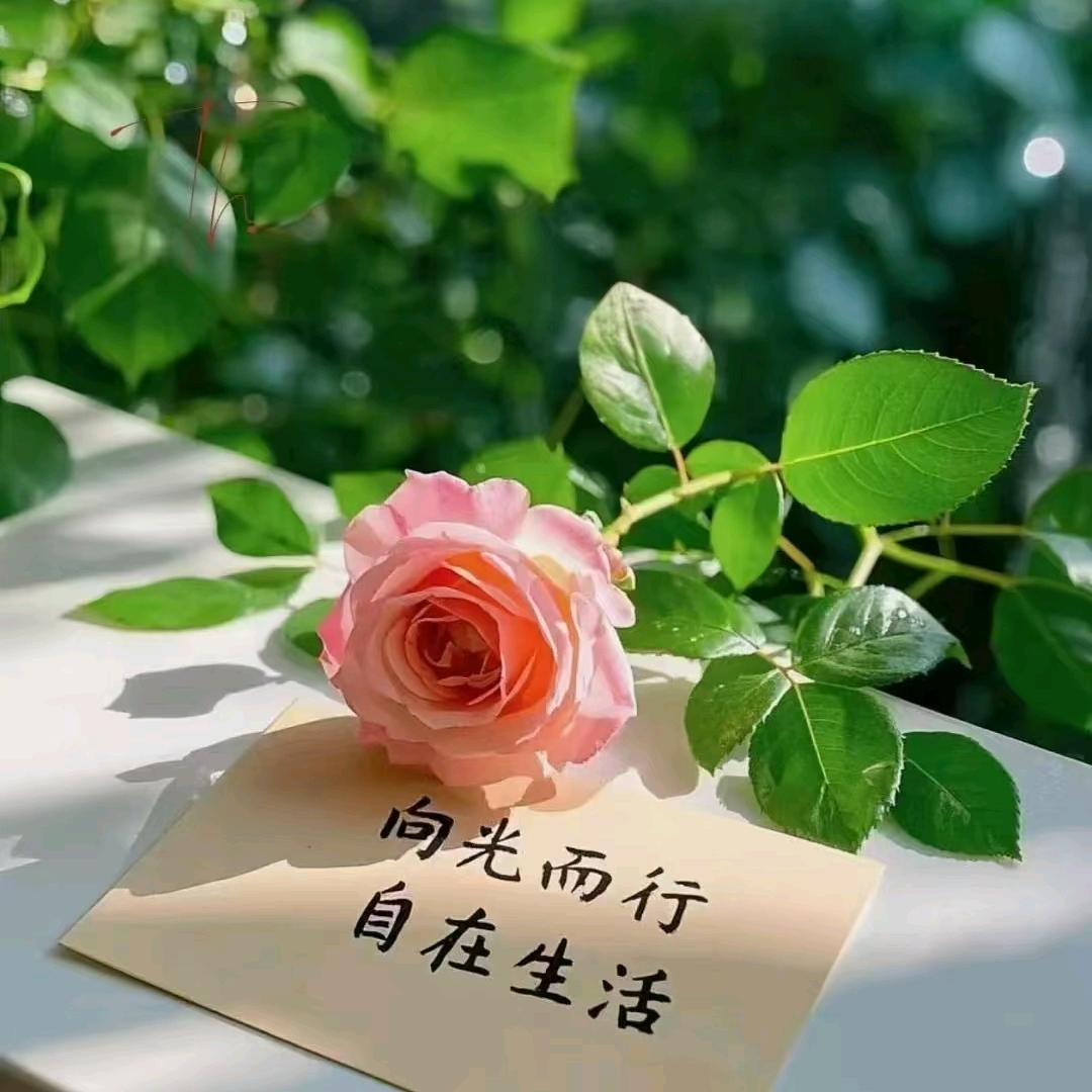 🧜‍♀️Ww☀️