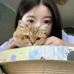 一万吨的猫