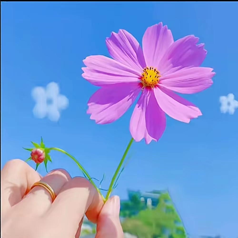ᨳᤢᤣ໌້ᮨ微笑ꦿ向暖͡꧔᭄