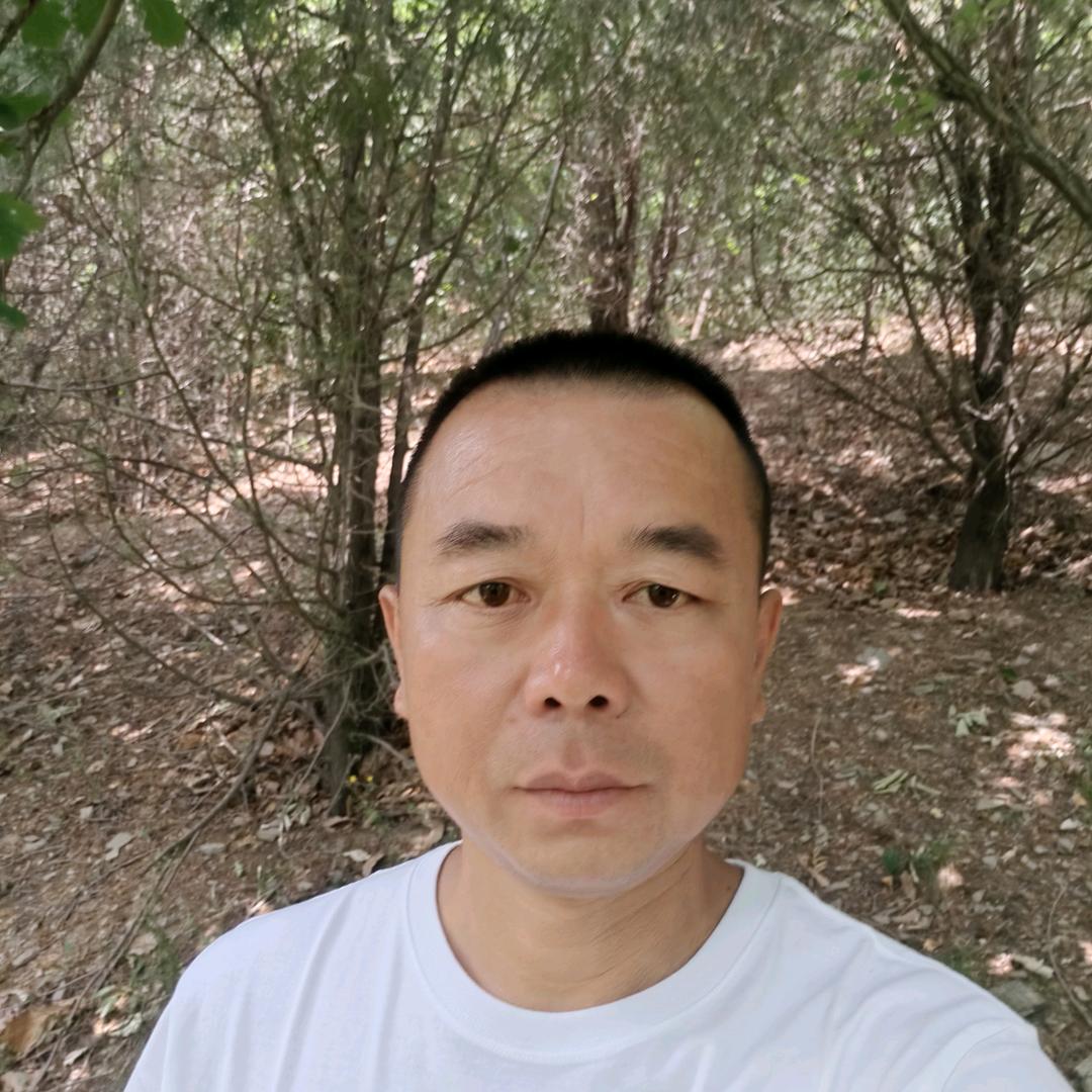 刘海东