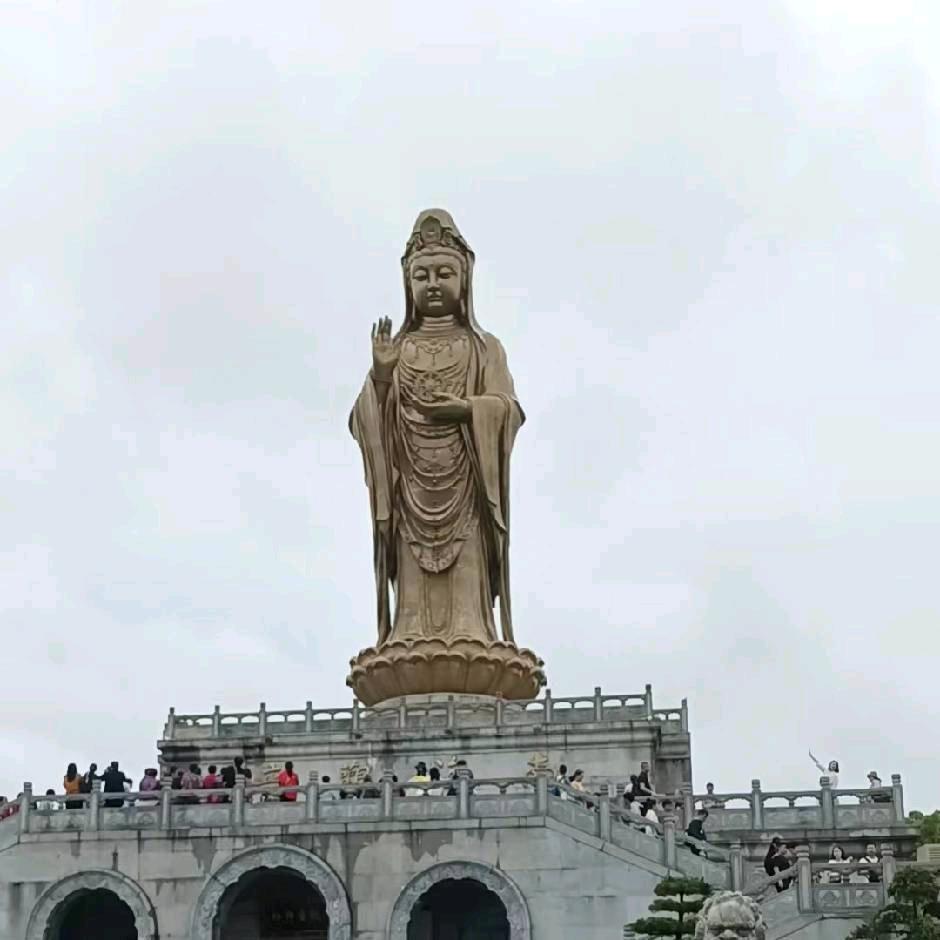 张雪理