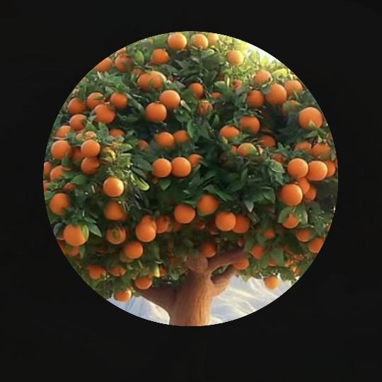 人性
