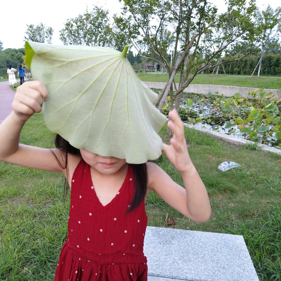 小太阳重启中