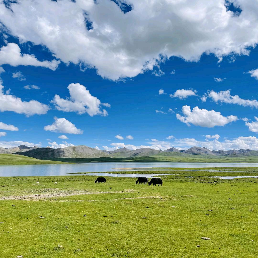 མི་ཚེ། 人生