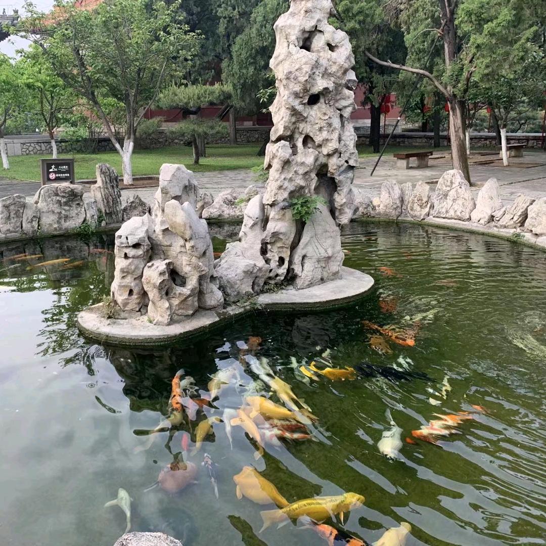 舍得