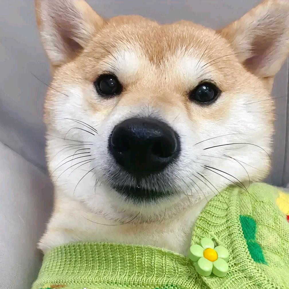 石家宝