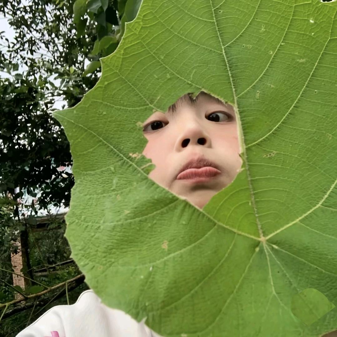 𝙔