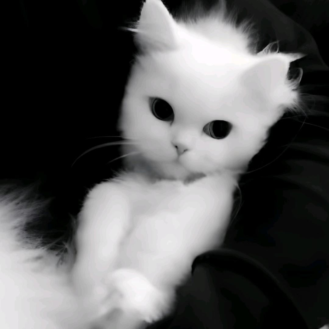 𝗶𝗹𝗹𝘂𝘀𝗶𝗼𝗻