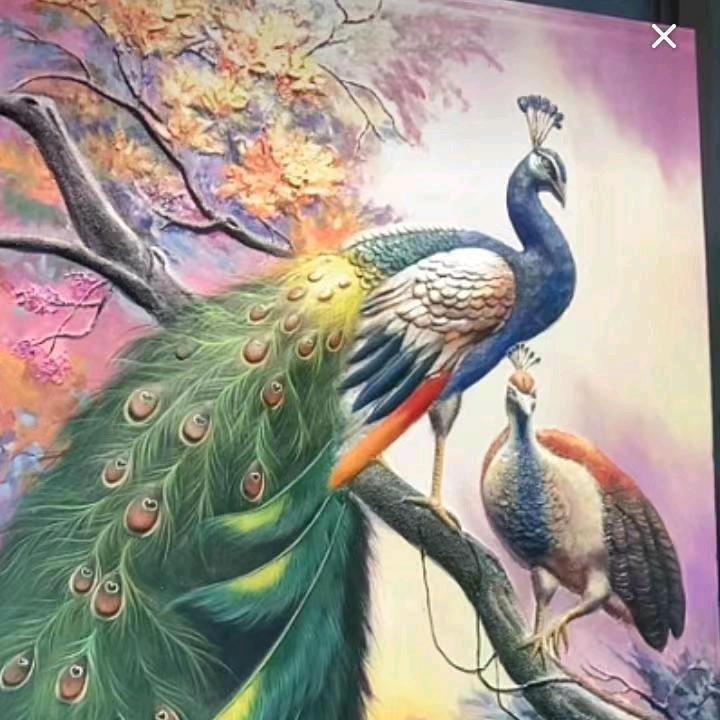 昙花一现