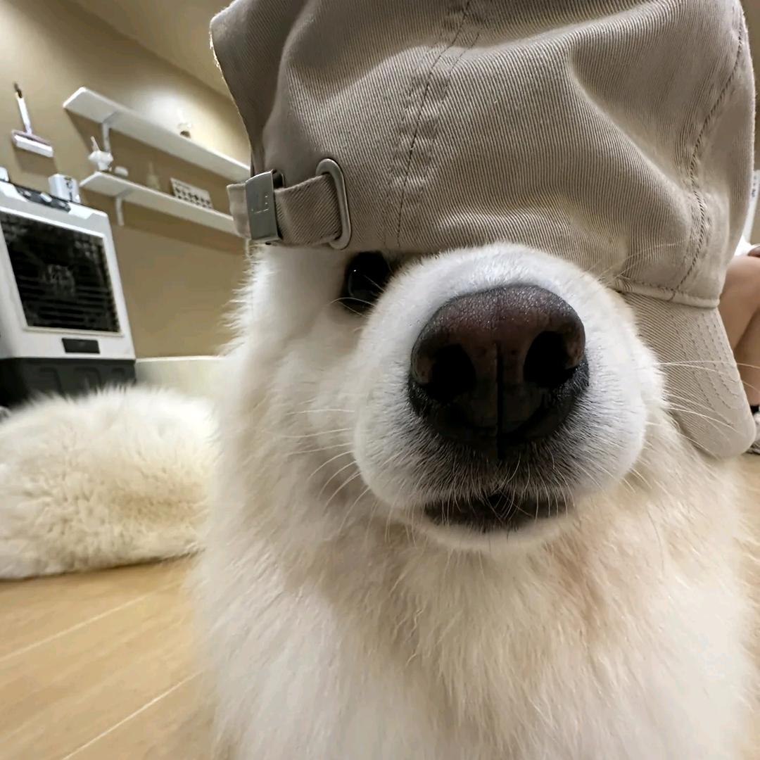 A仔（ 三角洲行动）