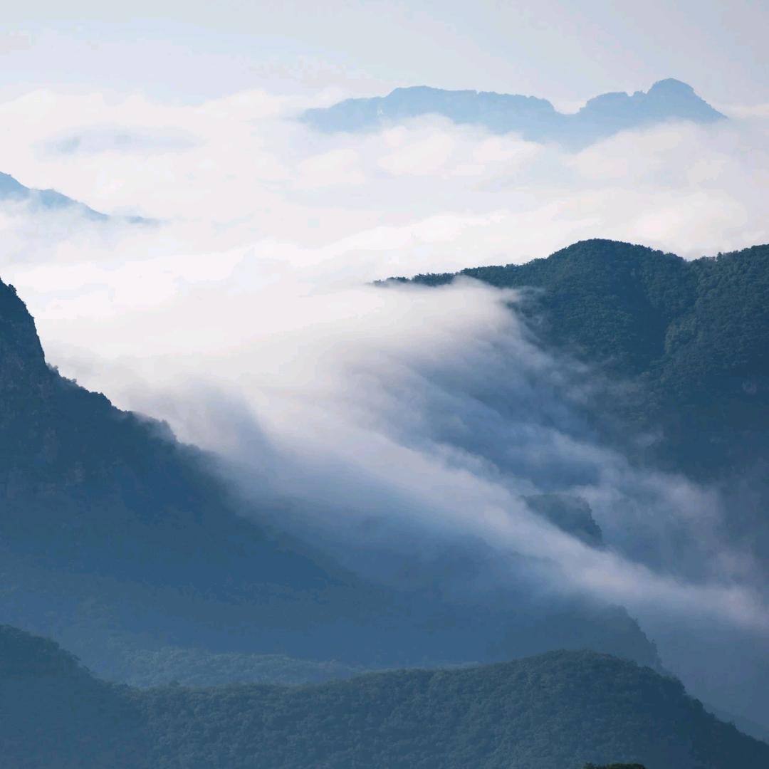 云派足疗-创始人(收徒)